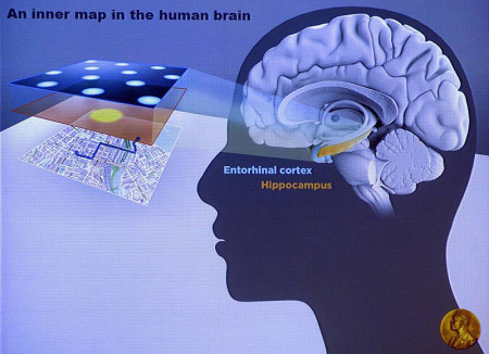 hippocampus-as-gps