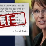 Palin on death panels