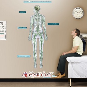 Patient waiting in exam room